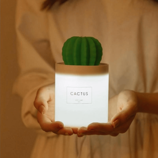 cactus-diffuseur