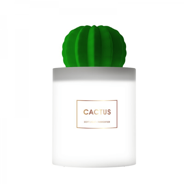 diffuseur-huile-essentielles-cactus