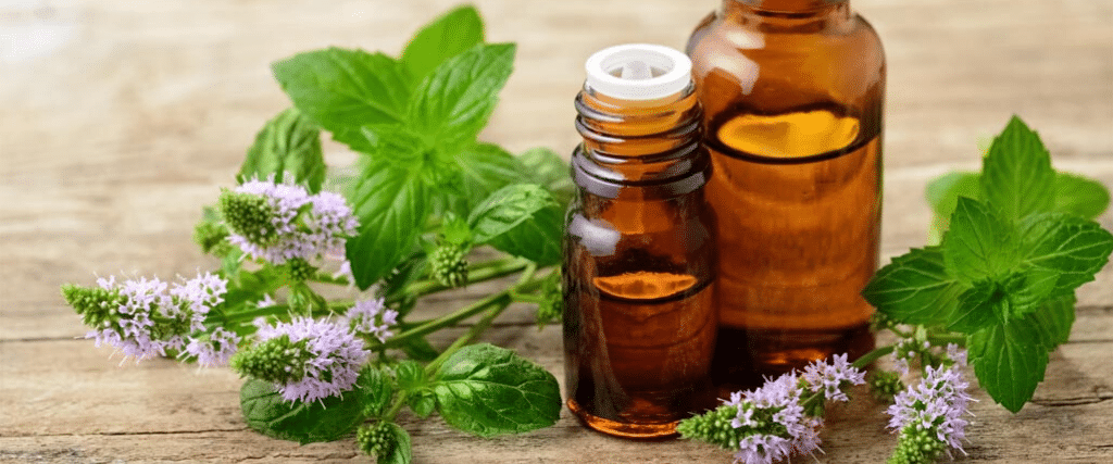 13 bienfaits de l'huile essentielle de menthe poivrée